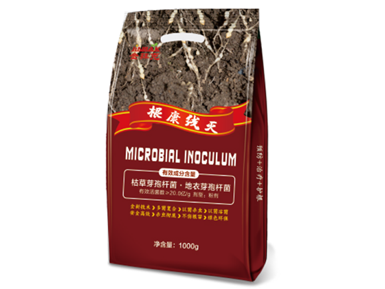 根康線滅